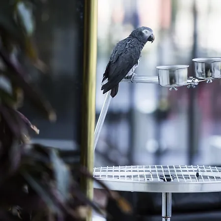 Miracorgo Hotel Vila Real