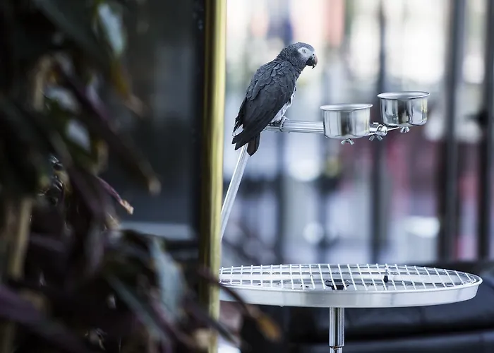 Miracorgo Hotel Vila Real